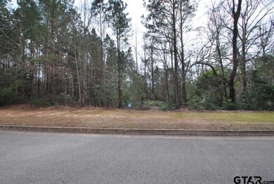 2045 Equestrian Ln, Tyler, TX 75703 - photo 6