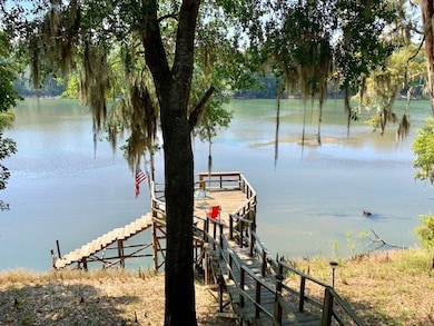 940 McNatt Falls Rd, Uvalda, GA 30473 - photo 3