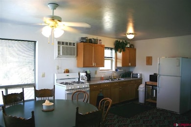 2225 Rd, Cedaredge, CO 81413 - photo 3