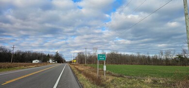State Route 96a, Romulus, NY 14541 - photo 5