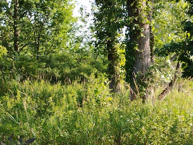 V/L 60 1 2 St, Bangor, MI 49013 - photo 6