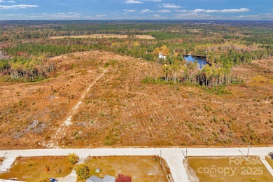 Hundreds of feet of road frontage. Flat open space for your homestead. Electric and internet available *pond not on property*