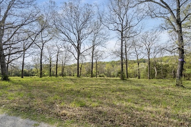 2-web-or-mls-DSC01593