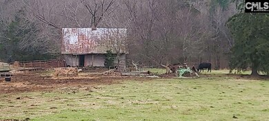 TBD Willie Usher Rd, Lancaster, SC 29720 - photo 6