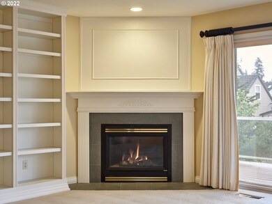Fireplace Gas