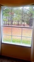 View from the main bedroom