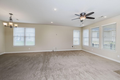 So Many Windows and Light