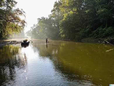 NoBusinessCreek Phillips Ln, Empire, AL 35063 - photo 2