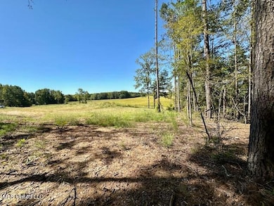 10696 Bobcat Ln-Photo from Woods