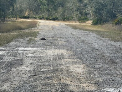 Even the wildlife love this location.