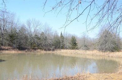 5811 W Folsom Rd, Caddo, OK 74729 - photo 4