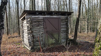 3655 Jordan Rd, Cincinnatus, NY 13040 - photo 5