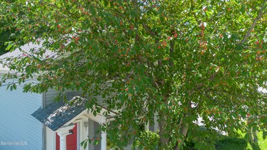 cherry tree
