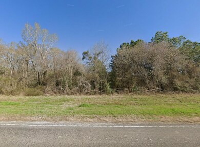 Coushatta Dr, Navasota, TX 77868 - photo 5