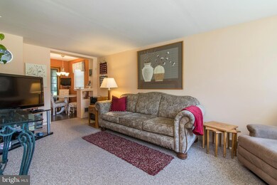 205 Flintlock Rd, Drexel Hill, PA 19026 - photo 7