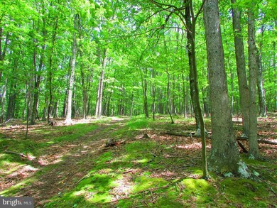 17 Rock Slide Way, Romney, WV 26757 - photo 7