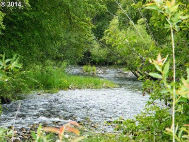 0 Slauterhouse unit 14659307, Halfway, OR 97834 - photo 6