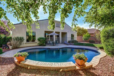 Backyard Retreat