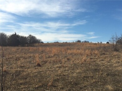 Looking back up the hill from the pond shows elevation change.