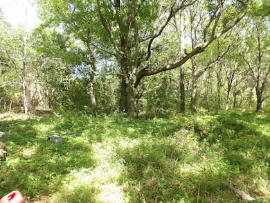 1558 Scott Hill Rd, Charleston, SC 29412 - photo 5