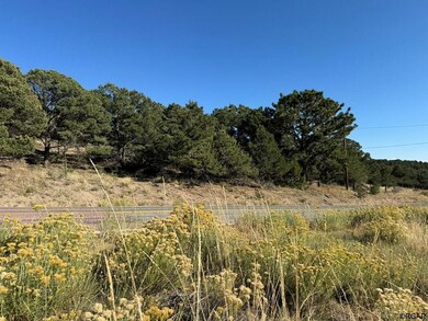 TBD Copper Gulch Rd, Cotopaxi, CO 81223 - photo 6