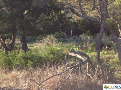 15849 Lovetta Ln, Temple, TX 76502 - photo 6