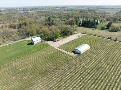 DJI_0241