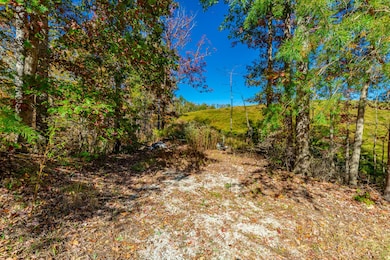 9739 Timberview Trail, Ooltewah, TN 37363 - photo 4