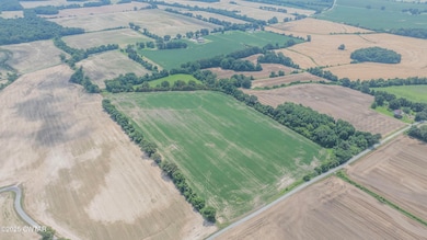 -- Holcomb Rd, Ripley, TN 38063 - photo 4