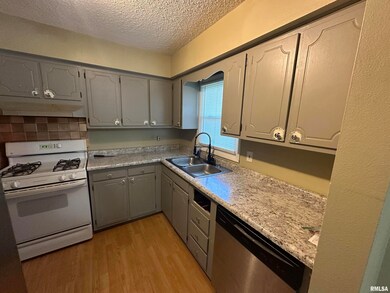 616 W 46th St, Davenport, IA 52806 - photo 4