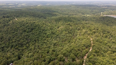 000 Highway Y, Elk Creek, MO 65464 - photo 7