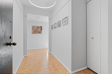 100 East Bellevue unit 25C, Chicago, IL 60611 - photo 3