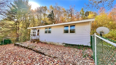 8905 W Bucktooth Run Rd, Little Valley, NY 14755 - photo 2