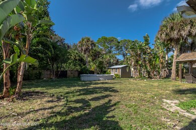 Back yard