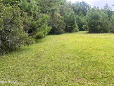 3 Larkins Rd, Rocky Point, NC 28457 - photo 2