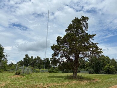 0002 Red Hills Ln, Bridgeport, IL 62417 - photo 3