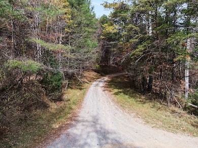 TBD Millers Creek Rd, Max Meadows, VA 24360 - photo 7