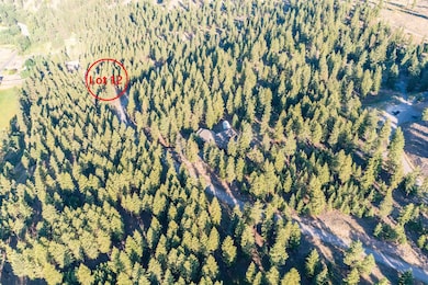 Lot 12 Stonefly Rd, Clinton, MT 59825 - photo 6