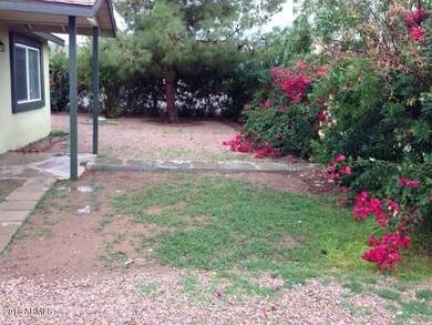 MAIN FRONT YARD