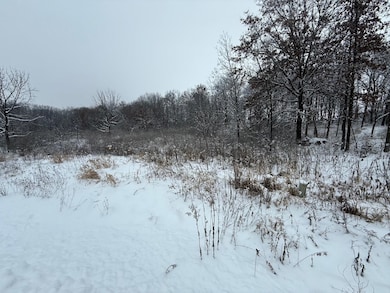 L7 Fawn Meadow Ln, Verona, WI 53593 - photo 3