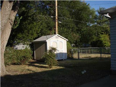 Shed and dog run