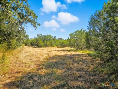 5698 County Road 102, Purmela, TX 76566 - photo 2