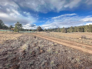 37 Arroyo Ct, Pagosa Springs, CO 81147 - photo 4