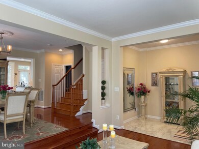 42495 Regal Wood Dr, Ashburn, VA 20148 - photo 5