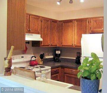 9313 Grazing Terrace, Montgomery Village, MD 20886 - photo 4