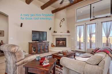 Cozy Gas Kiva Fireplace for
