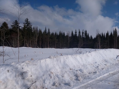 IMG_20190311_152759682