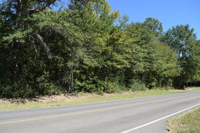 02 Dorcheat Rd, Minden, LA 71055 - photo 5