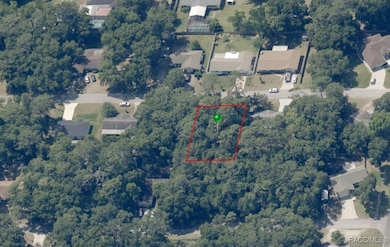 6361 E Gurley St, Inverness Highlands South, FL 34452 - photo 4