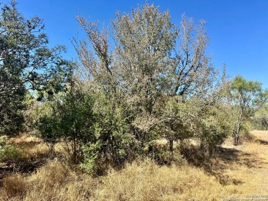 0 County Road 215, McCoy, TX 78113 - photo 7